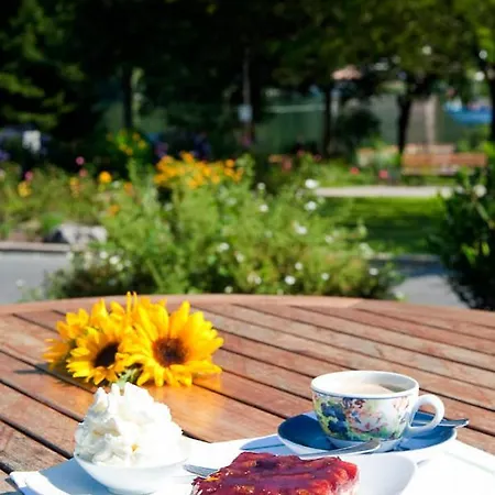 Maier Zum Kirschner Rotta